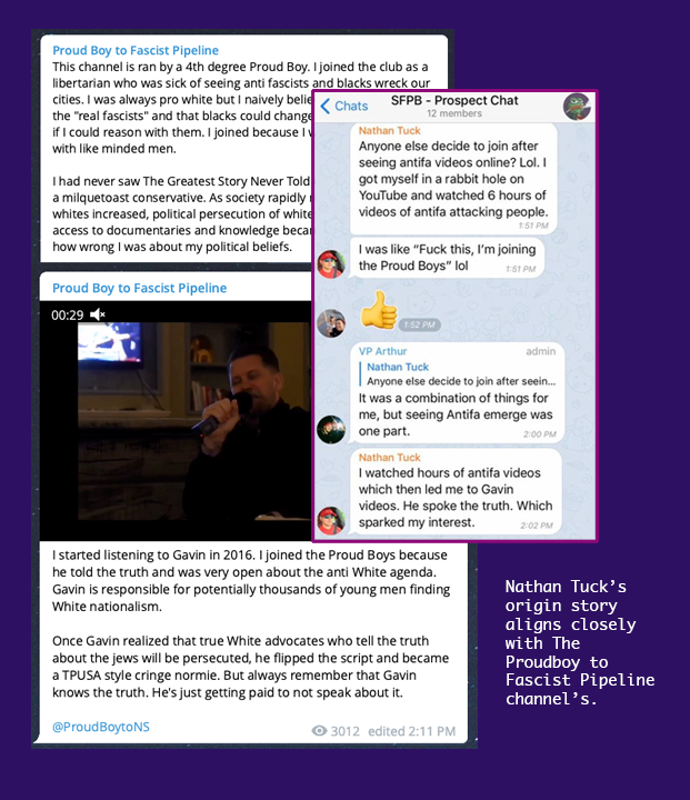 Screenshots of "Proud Boy to Fascist Pipeline" posts and Nathan Tuck in his Proud Boy vetting channel talking about joining the Proud Boys after watching antifa videos and Gavin McInnes's show.